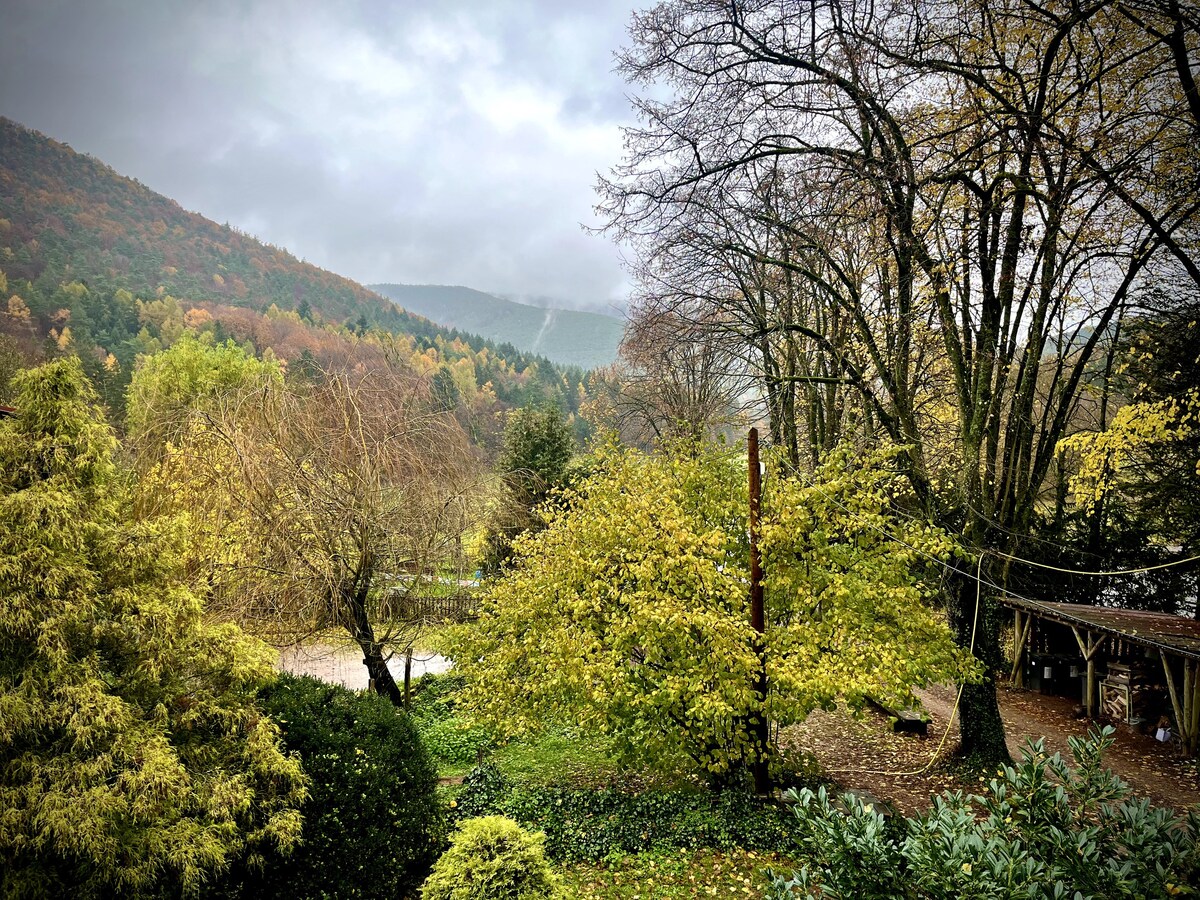 Wohnen mitten in der Natur auf dem Pferdehof