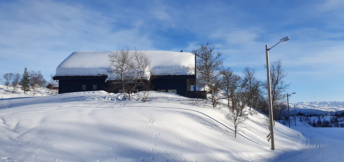 位于Fjellbergsskardet的可爱实用小屋