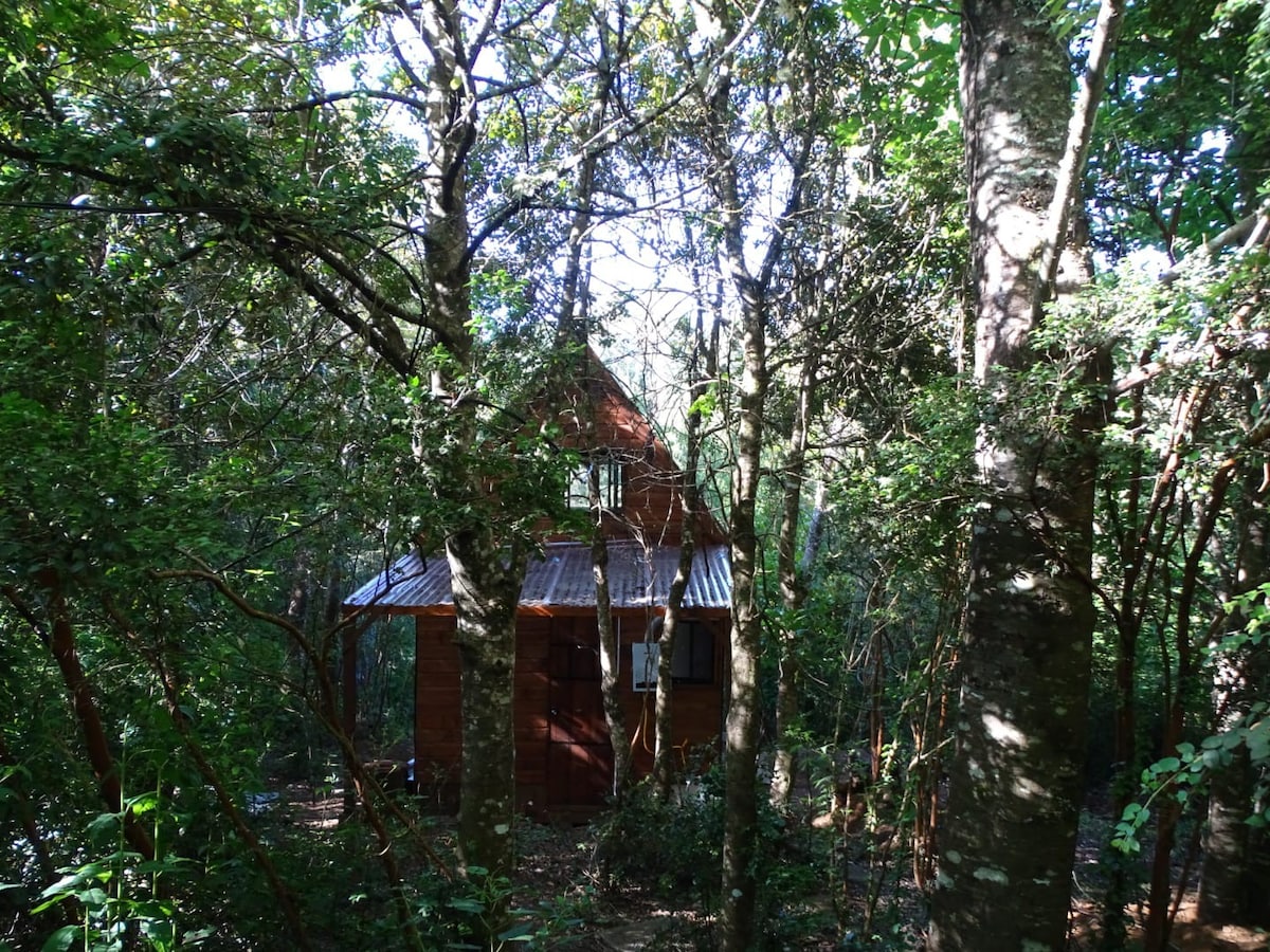 Cabaña Bosque