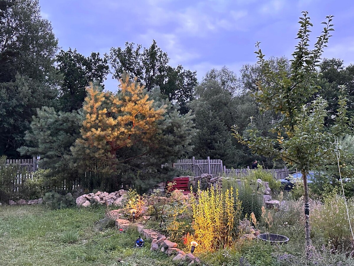 Auszeit in der Natur und am See