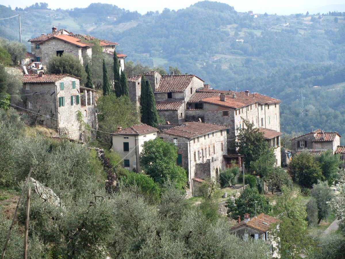Casa Buona Vista - Tuscan Charm, Views and Comfort