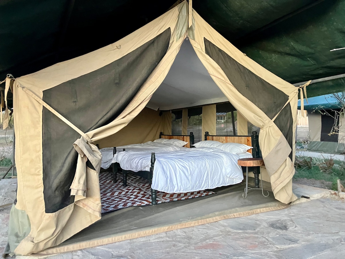 Kambu Mara Camp Family Tent