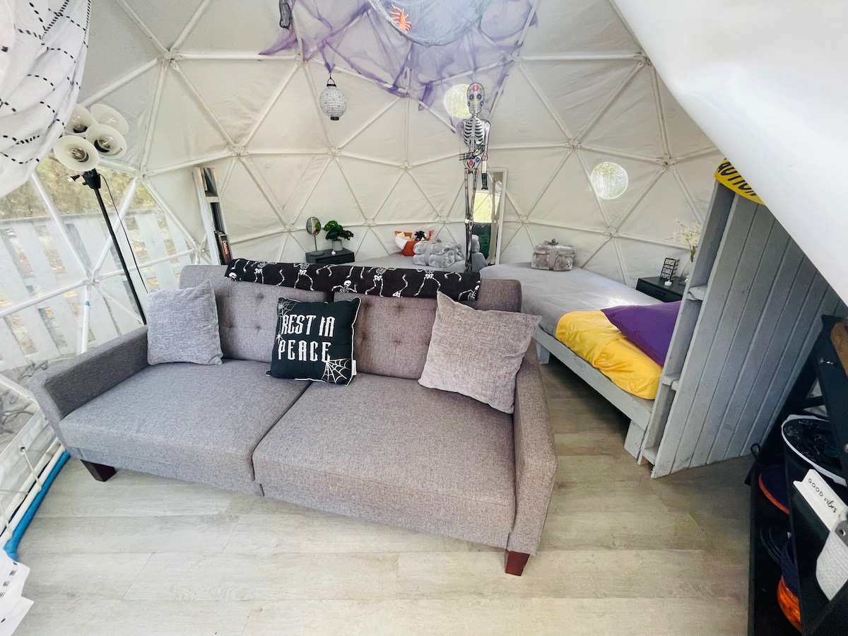 Gimpy’s Geodome-Glamping Farm therapy(stay & ride)