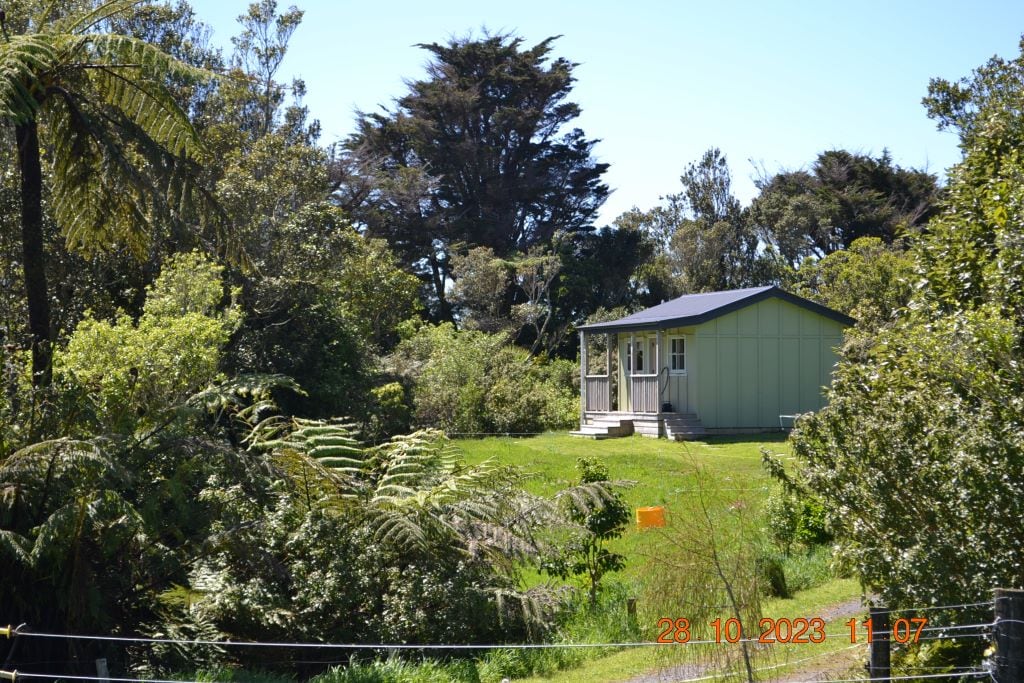 Tree Fuchsia Cabin