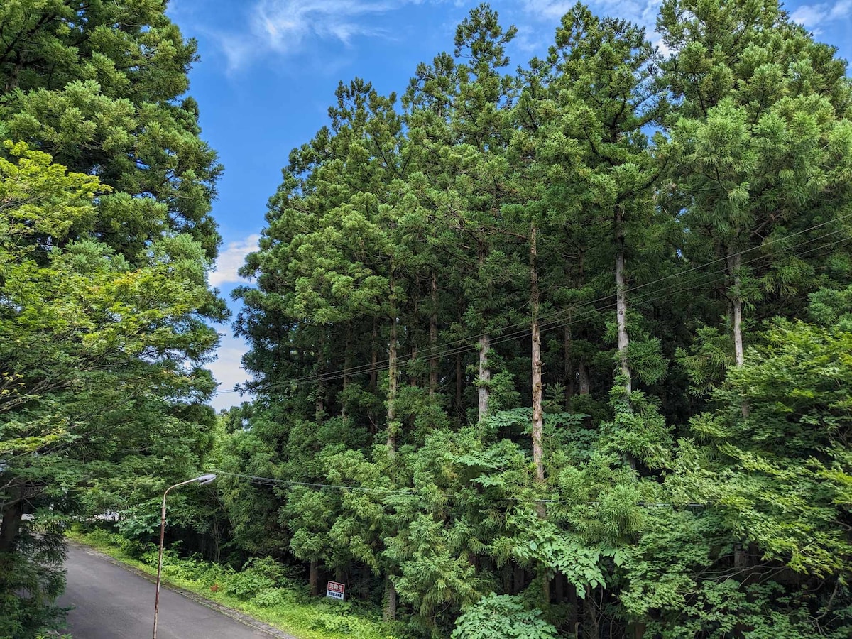 美丽的住宿加早餐，带温泉（ 1235 ）