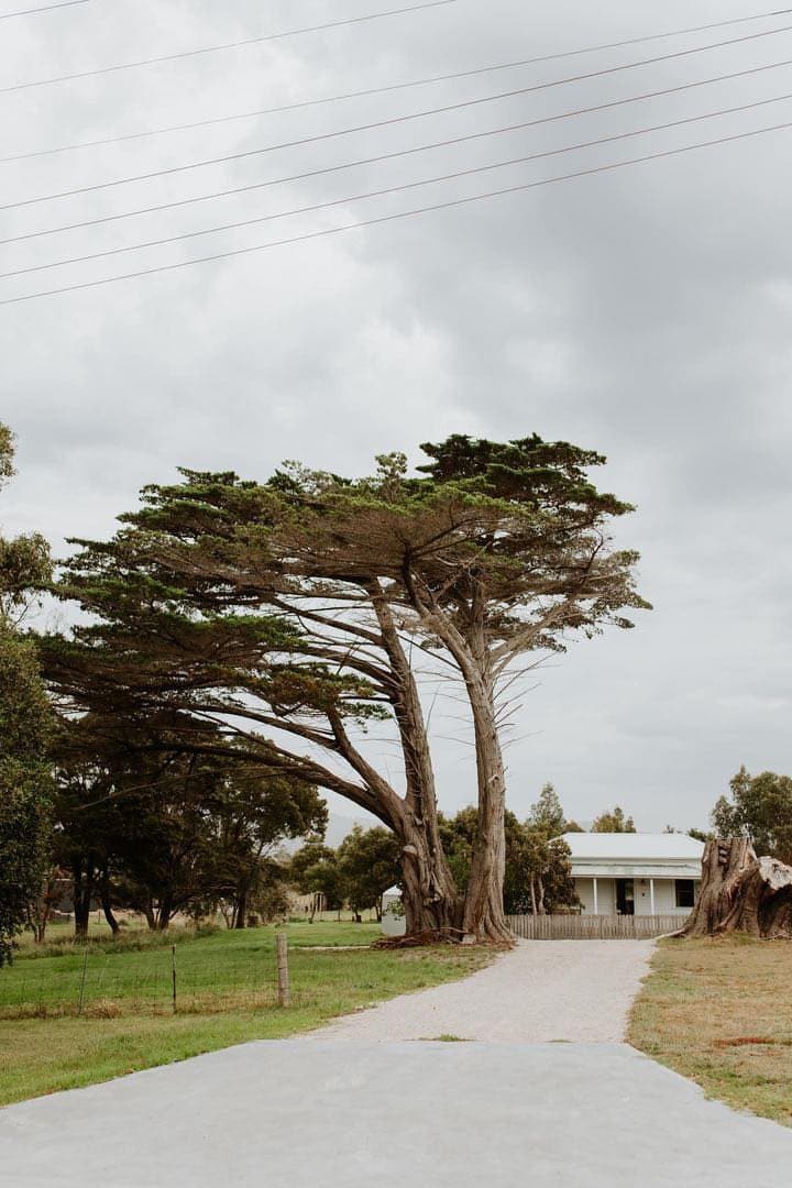 Singline Cottage by the sea. 2.5 acre dog friendly