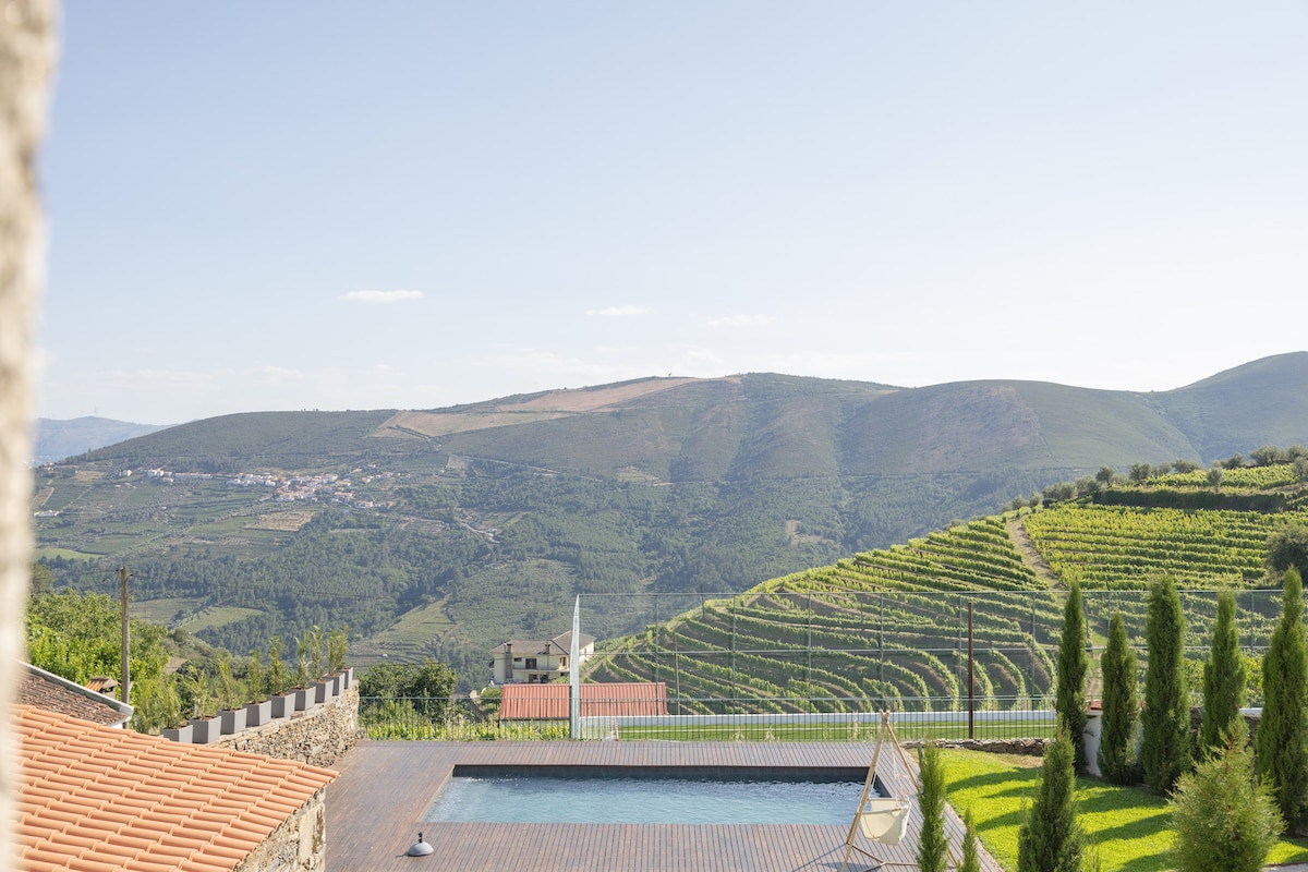 Provesende Douro  Villas