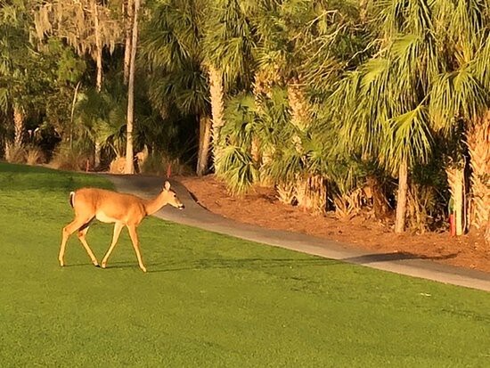 Forest Glen Golf Club