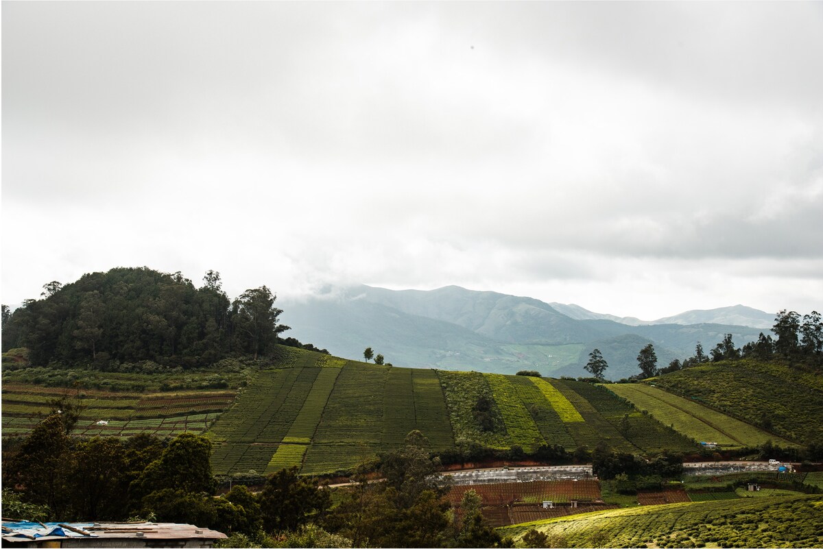 Emerald Nest, Italian style 1-BR villa in Ooty