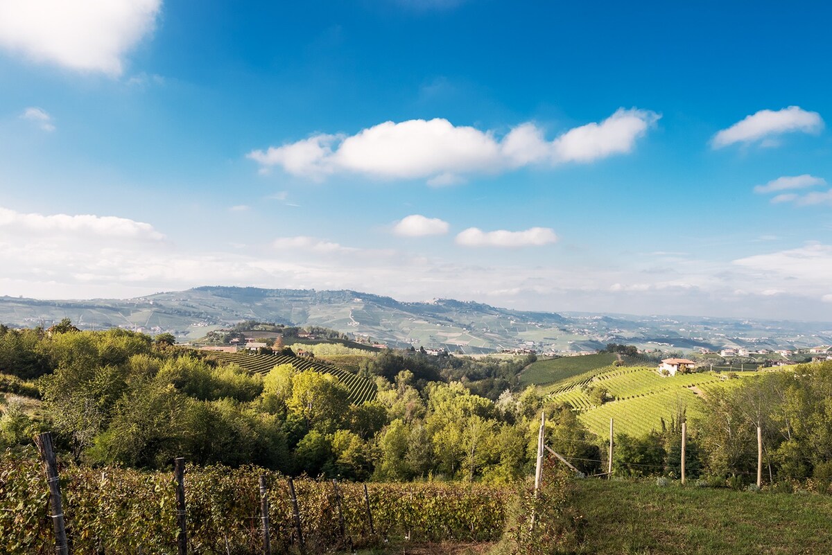 I Ciabot di Monforte - Barolo