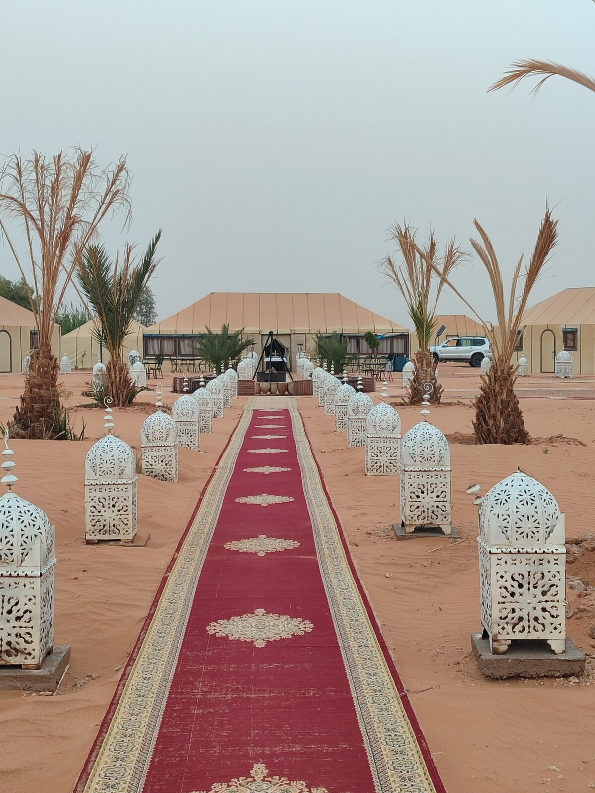 sahara traditional luxury camp