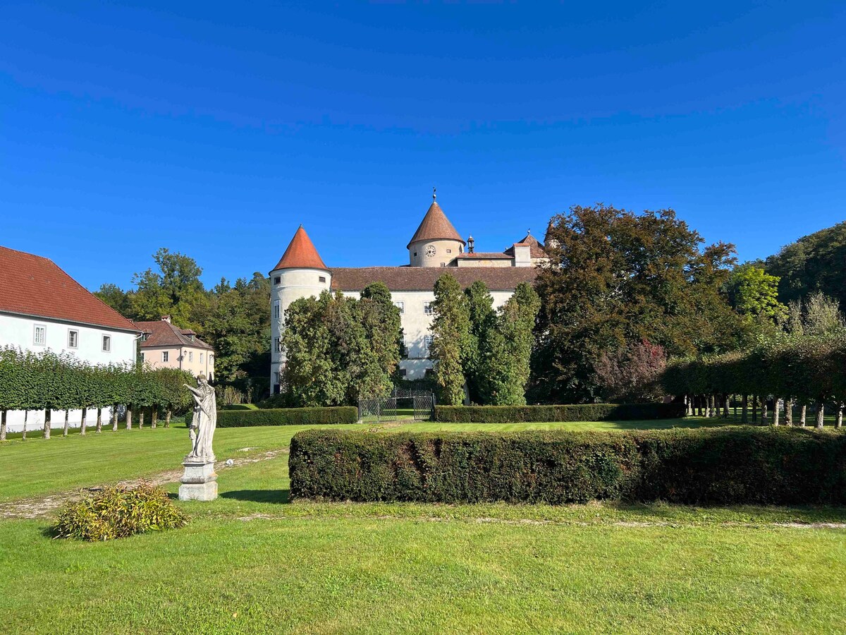 Charming castle in Austria