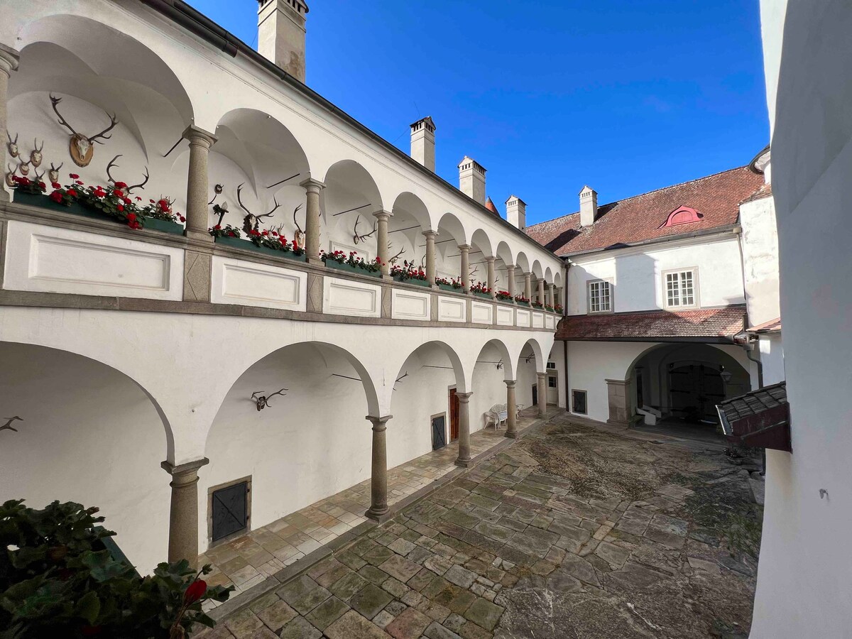 Charming castle in Austria