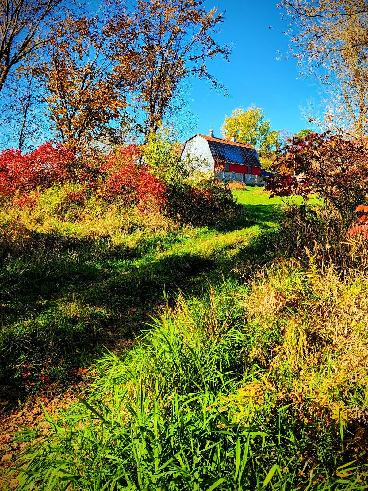 Valley Homestead