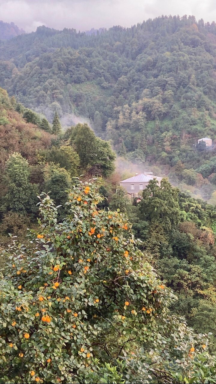 Cozy place in mountains of Ajaria