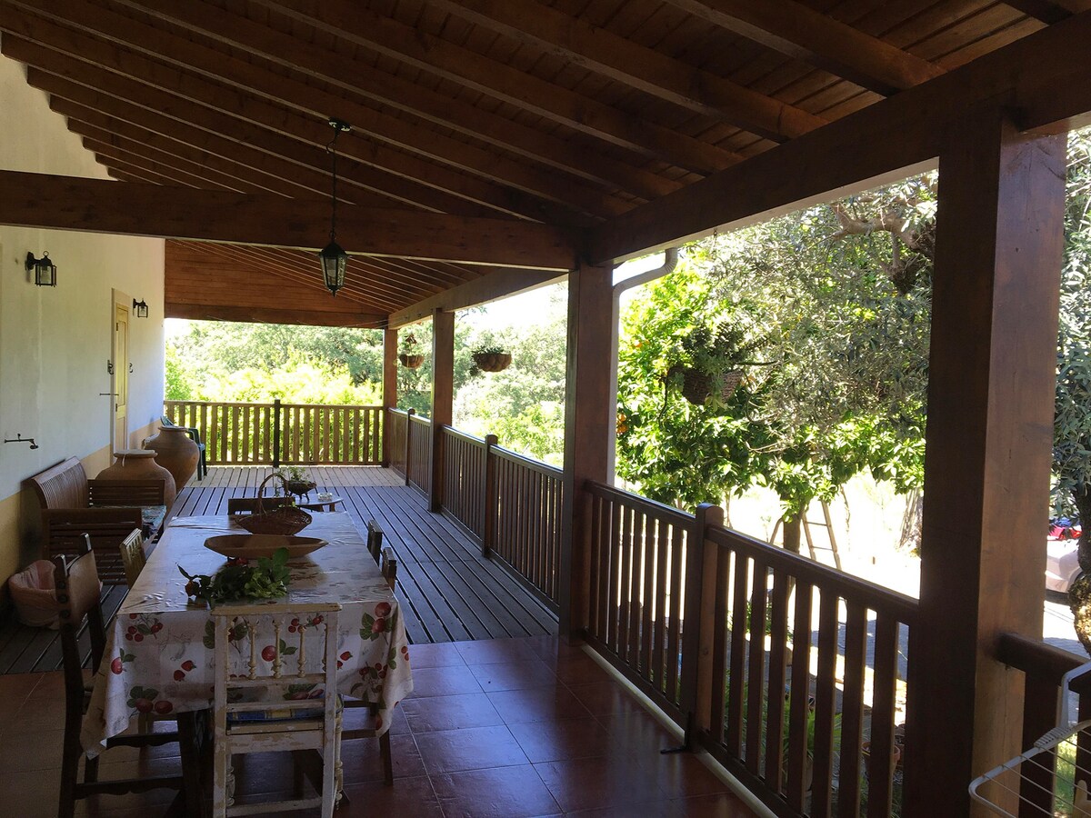 Gerbera Villa, Ferreira do Zêzere, Santarém