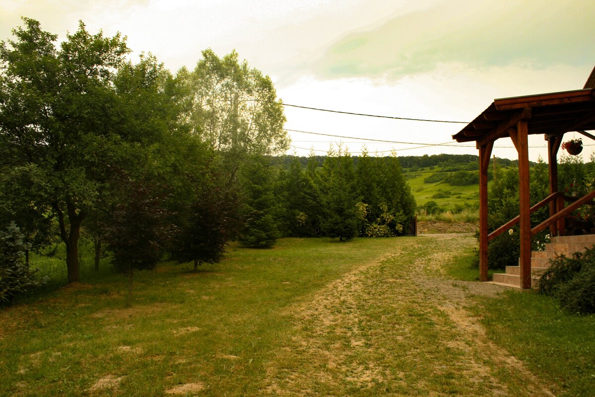 Guesthouse in Adrianu Mare