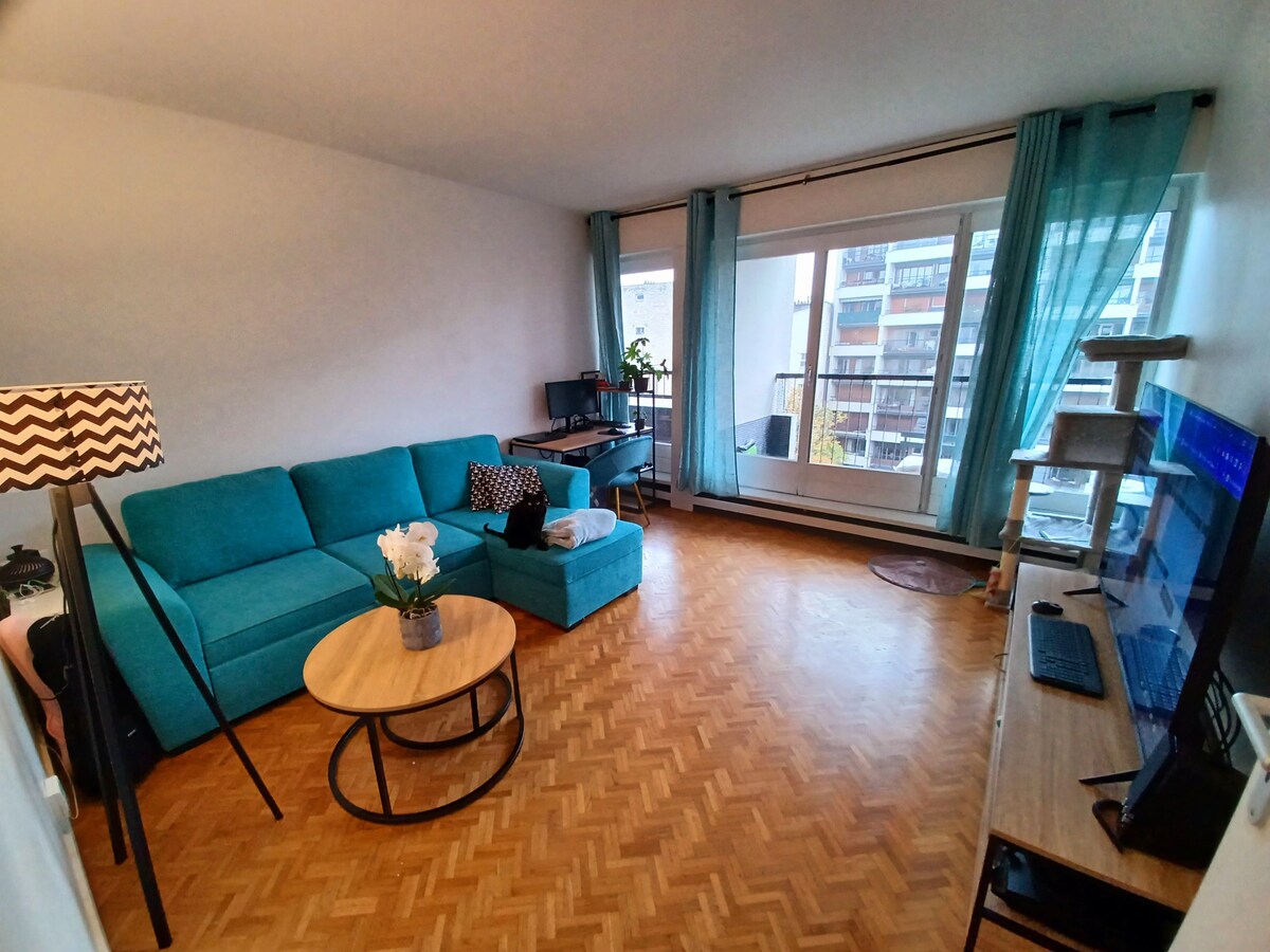 Sofa-bed in living room / Apartment in Paris