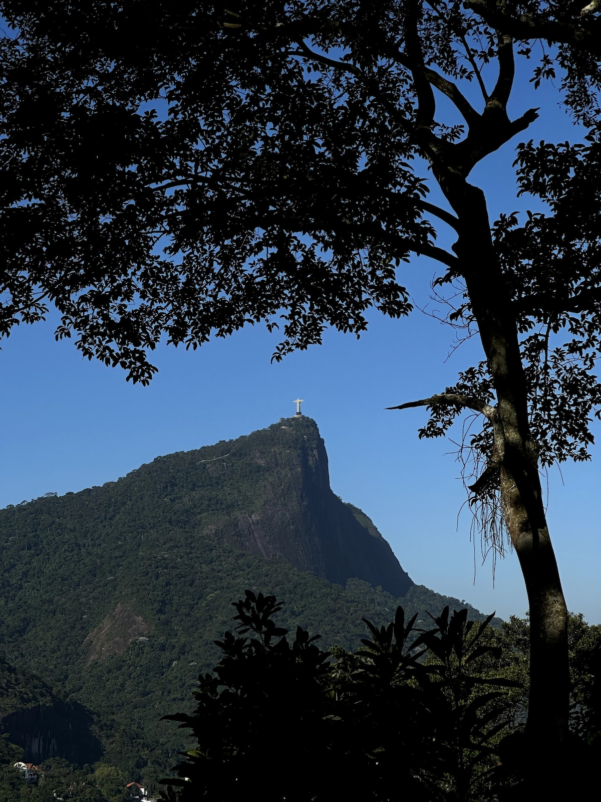 Mansão especial na Gávea: Casas Pellegrino