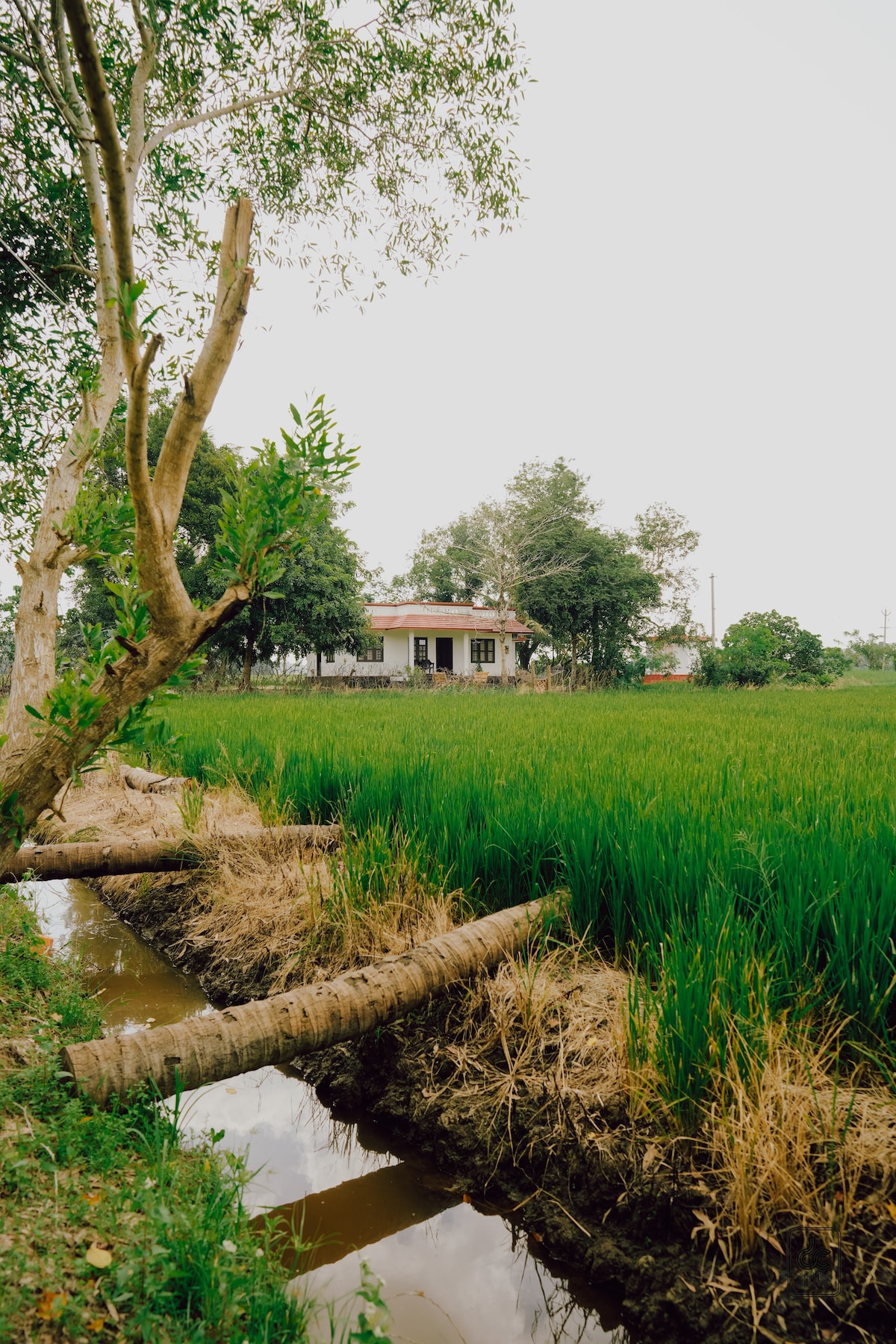 Vayal Monk Private Villa Resort Alappuzha