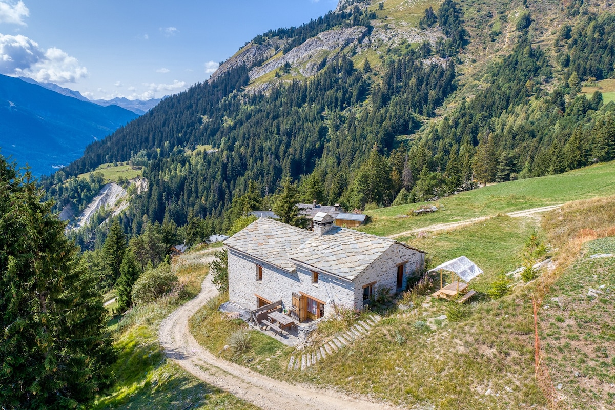 Chalet de l'Ortet