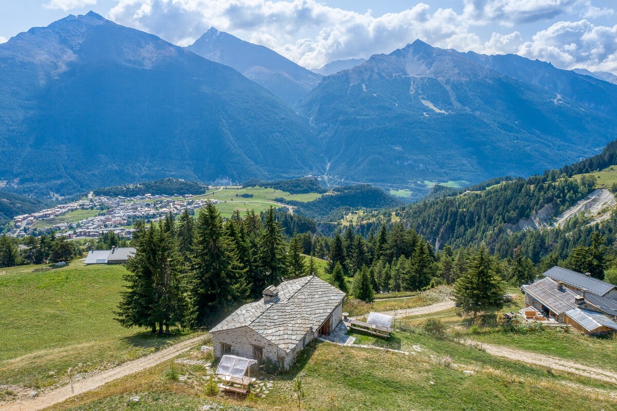 Chalet de l'Ortet