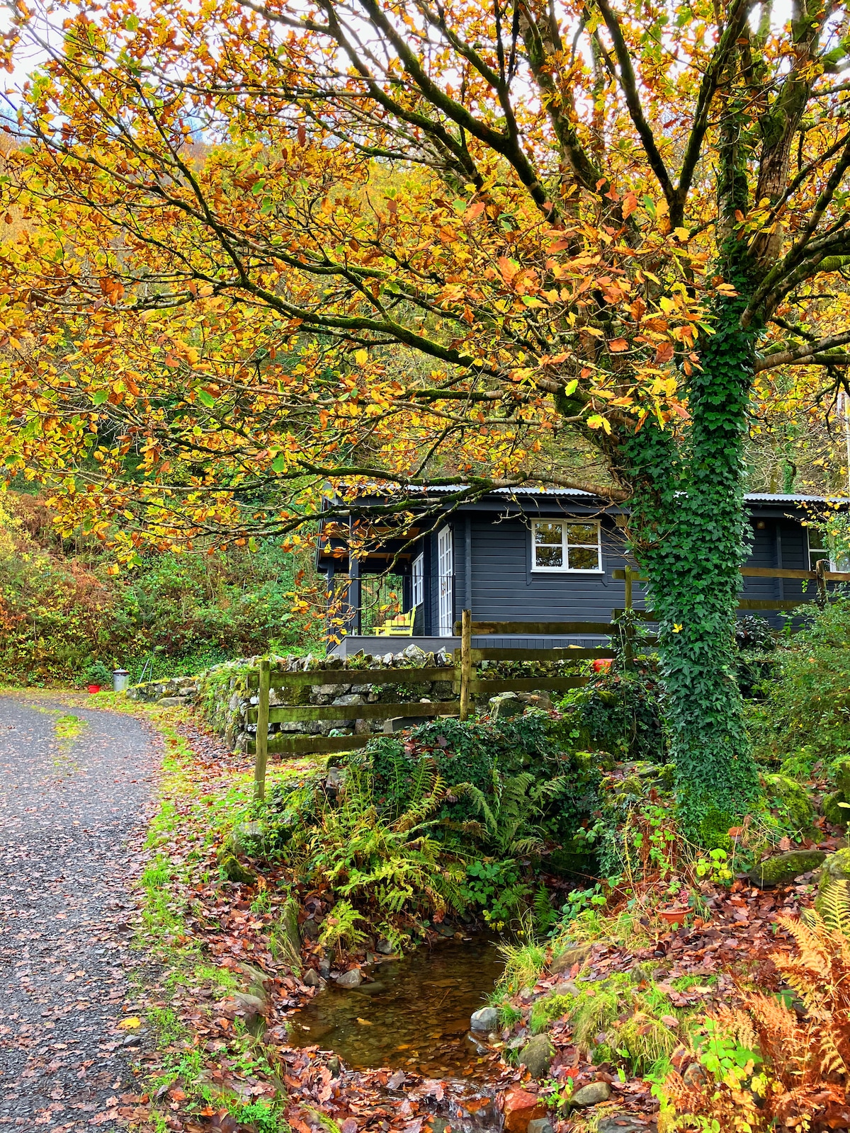 Caban Idris - Snowdonia Log Cabins - Arthog