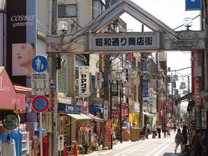 「江戶川日式公寓302」直達秋葉原、新宿，交通便利；免費WiFi