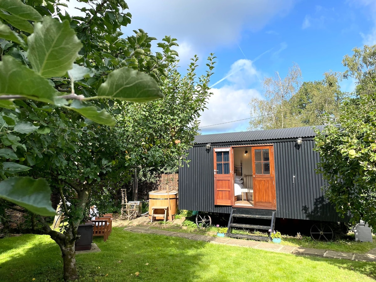 Orchard Hut - Surrey Hills