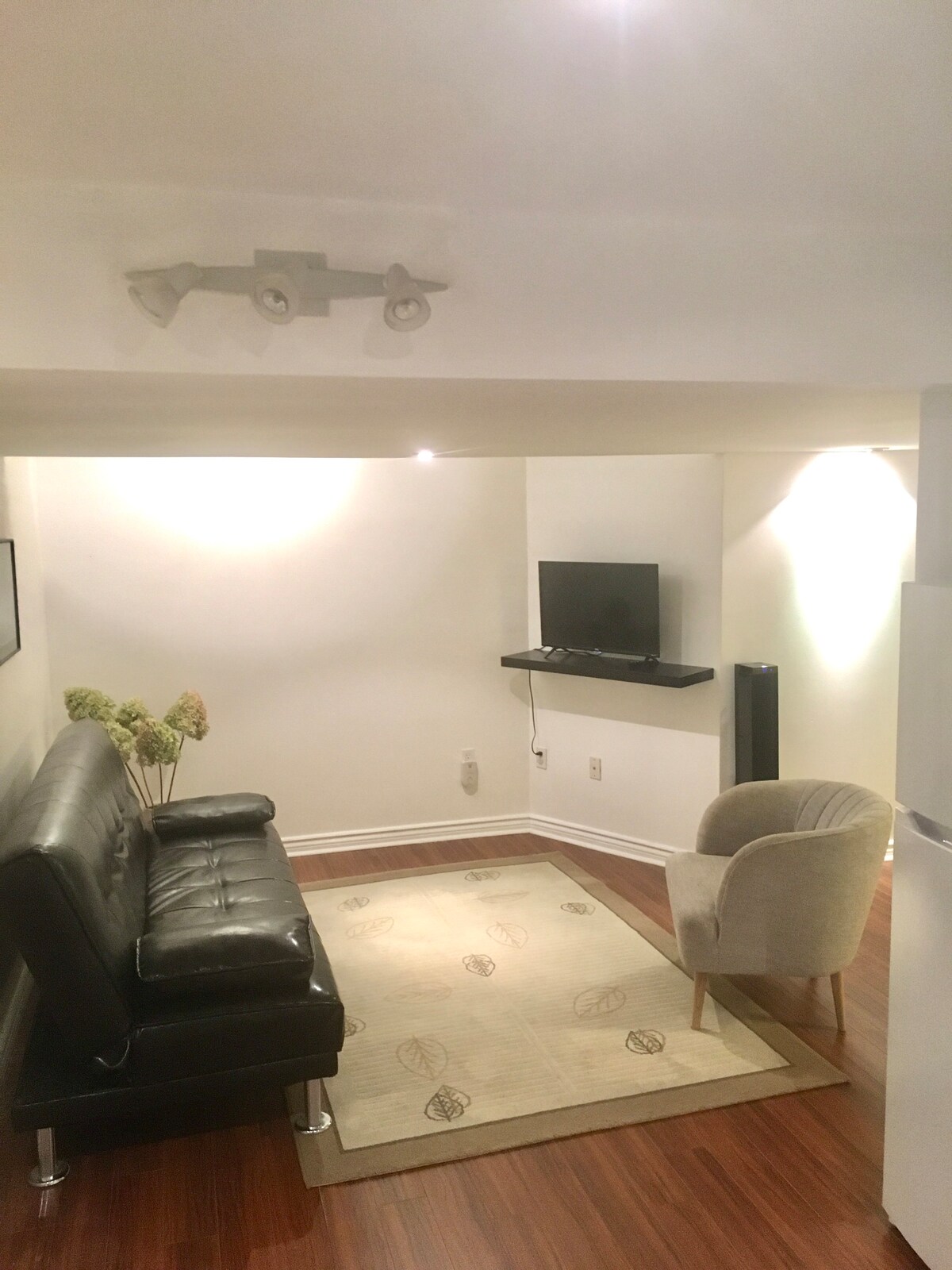 Beautiful new basement apartment