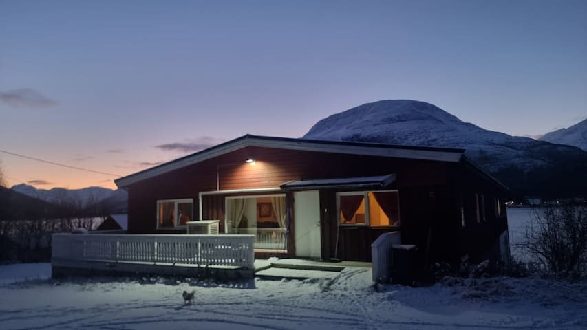 Storfjord kommune的民宿