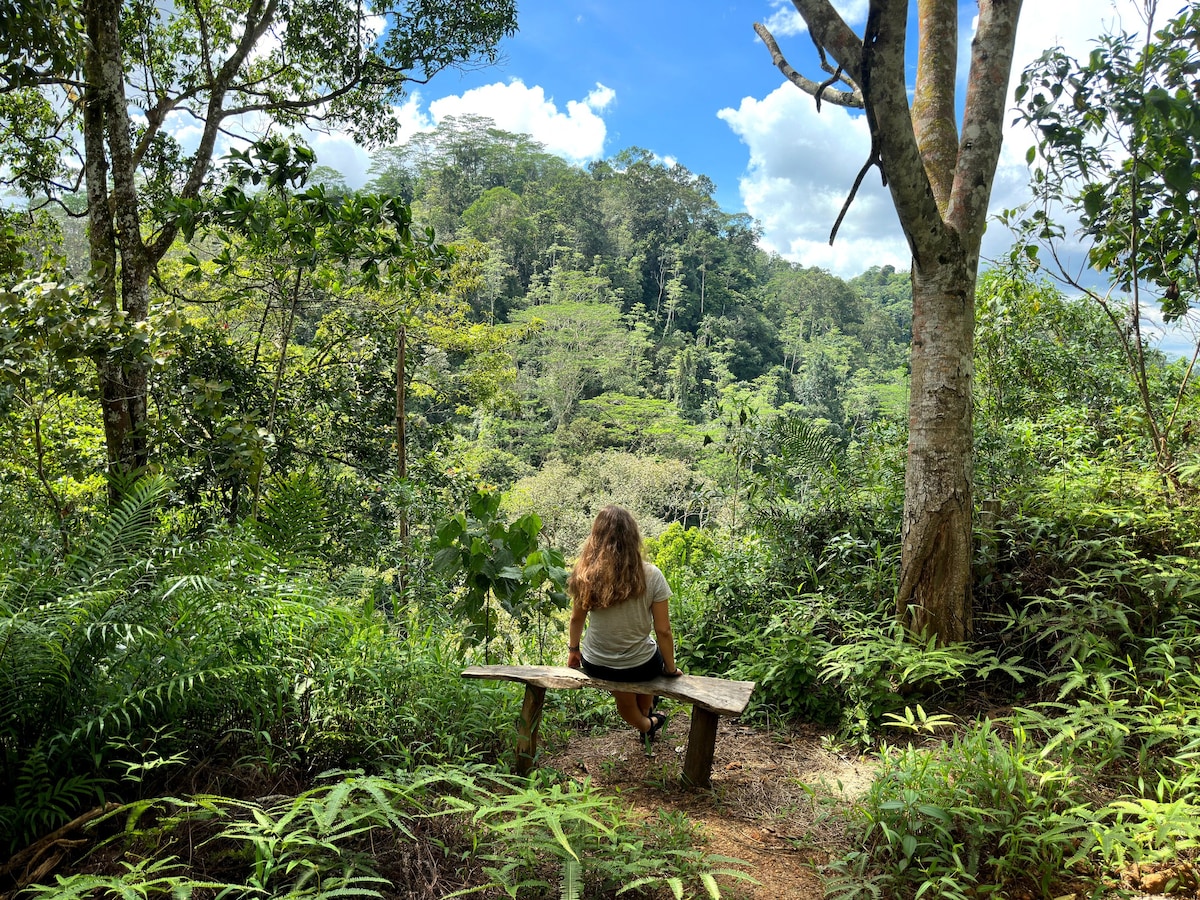 Eco Rainforest Retreat - Double Chalet