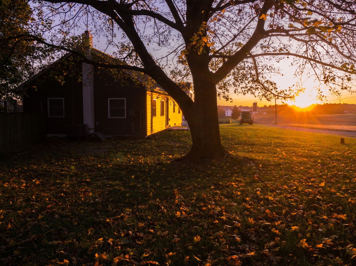 Sunset Lane