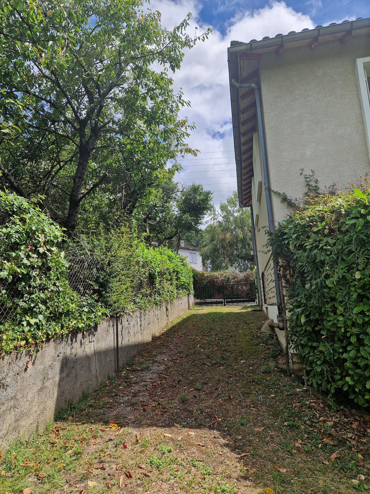 Maison de ville avec jardin