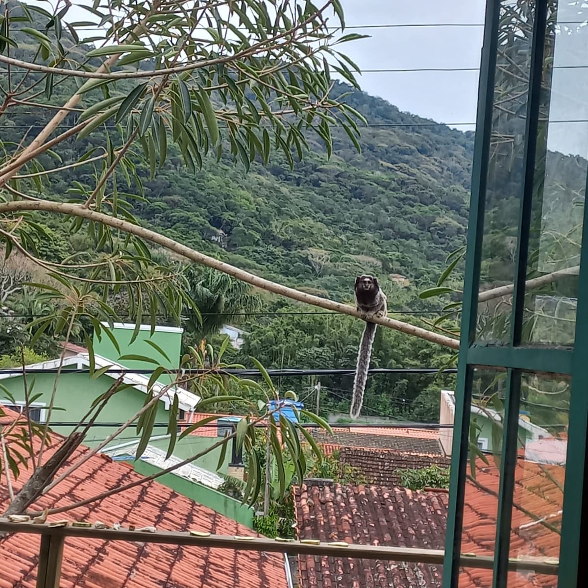 Casa superior con hermosa vista.