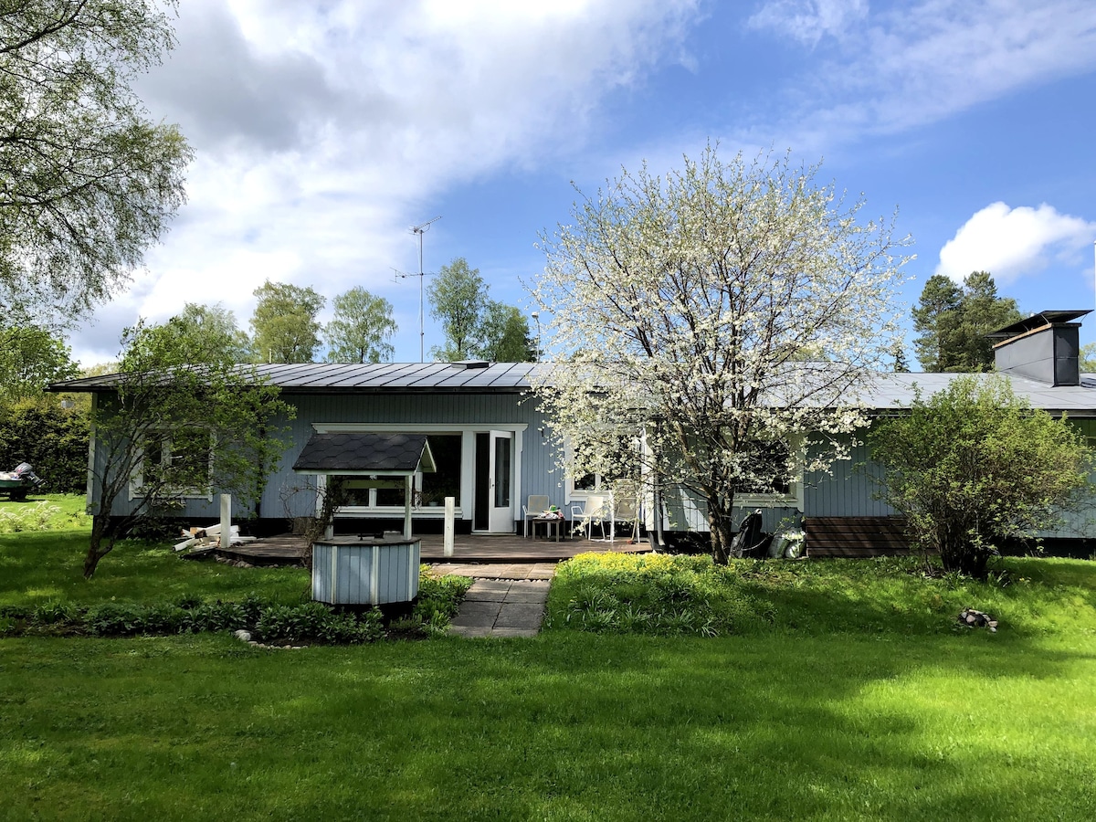 Bluebird family home