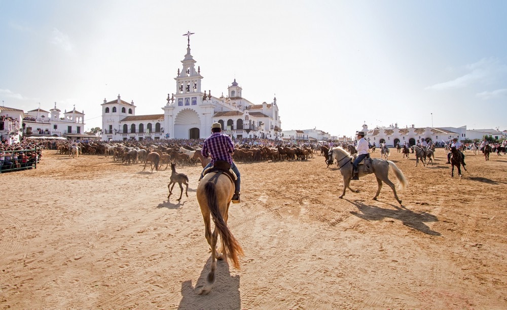 Chalet Evasion | Huttopia Parque de Doñana