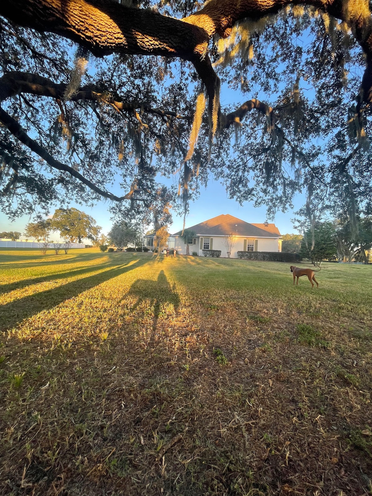 Clean 3 Acres Across The Street From The Villages.