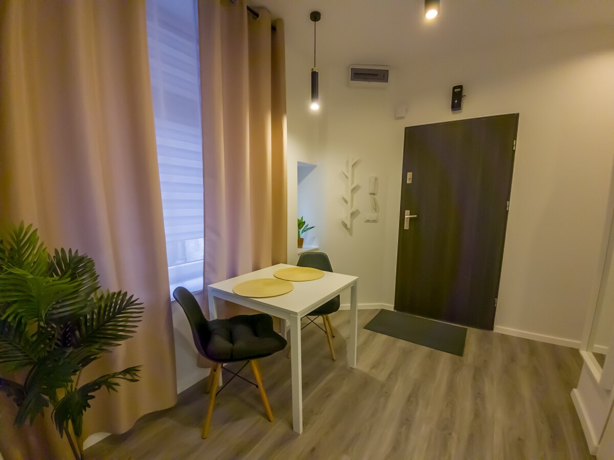 Katowice apartament z jacuzzi