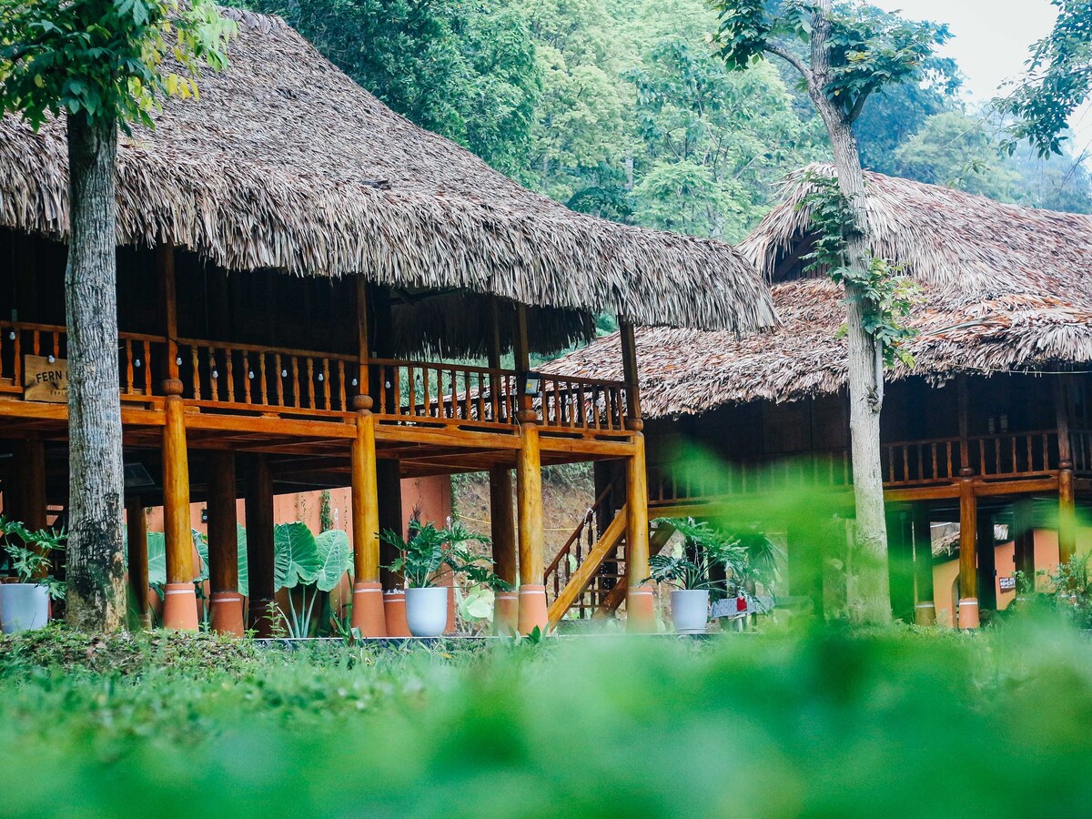 The BanBa Jungle Lodge 01