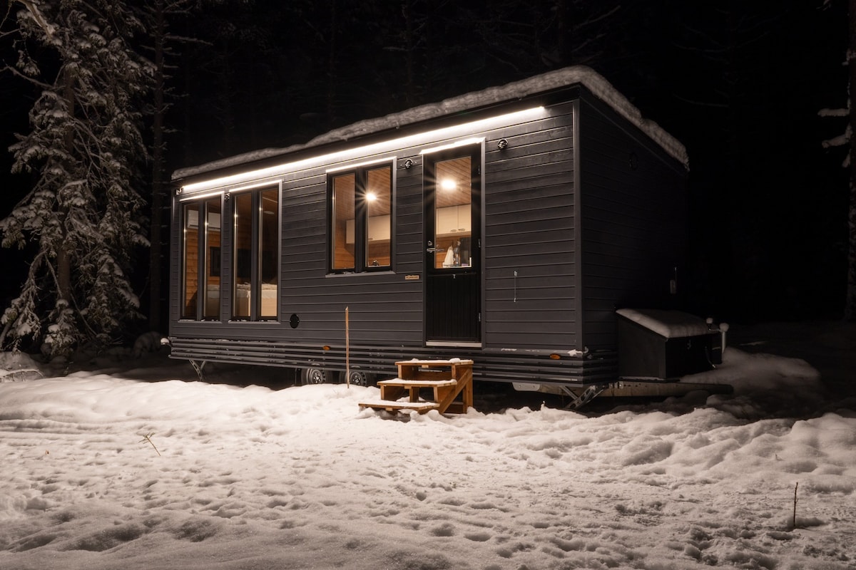 Kotatuli Forest Lodge Glamping Metsämökki