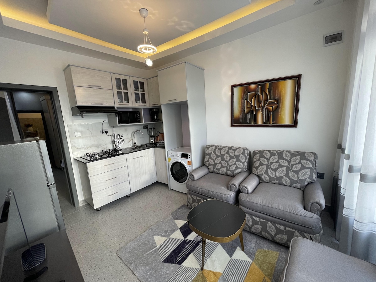 1 bedroom apartment