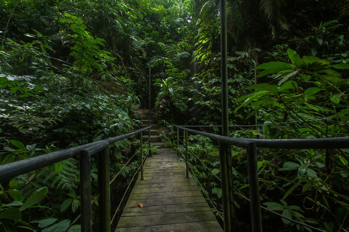 20% 折扣 | 巴厘岛帕艳安的森林逃亡。