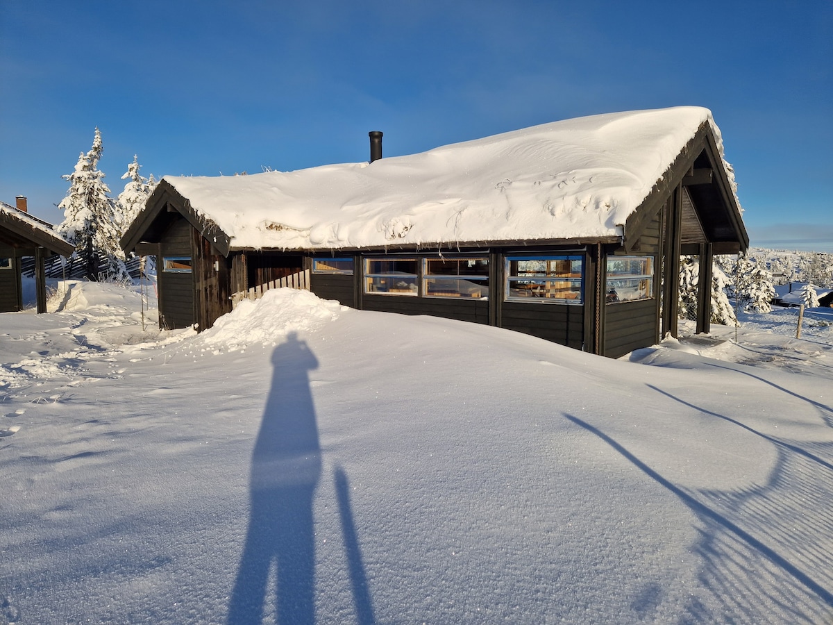 很棒的小木屋休息室，位于Sjusjøen ，附楼