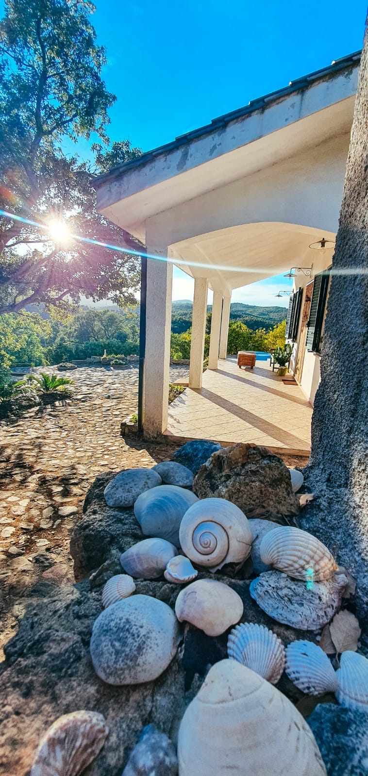 Villa con piscina immersa nel bosco