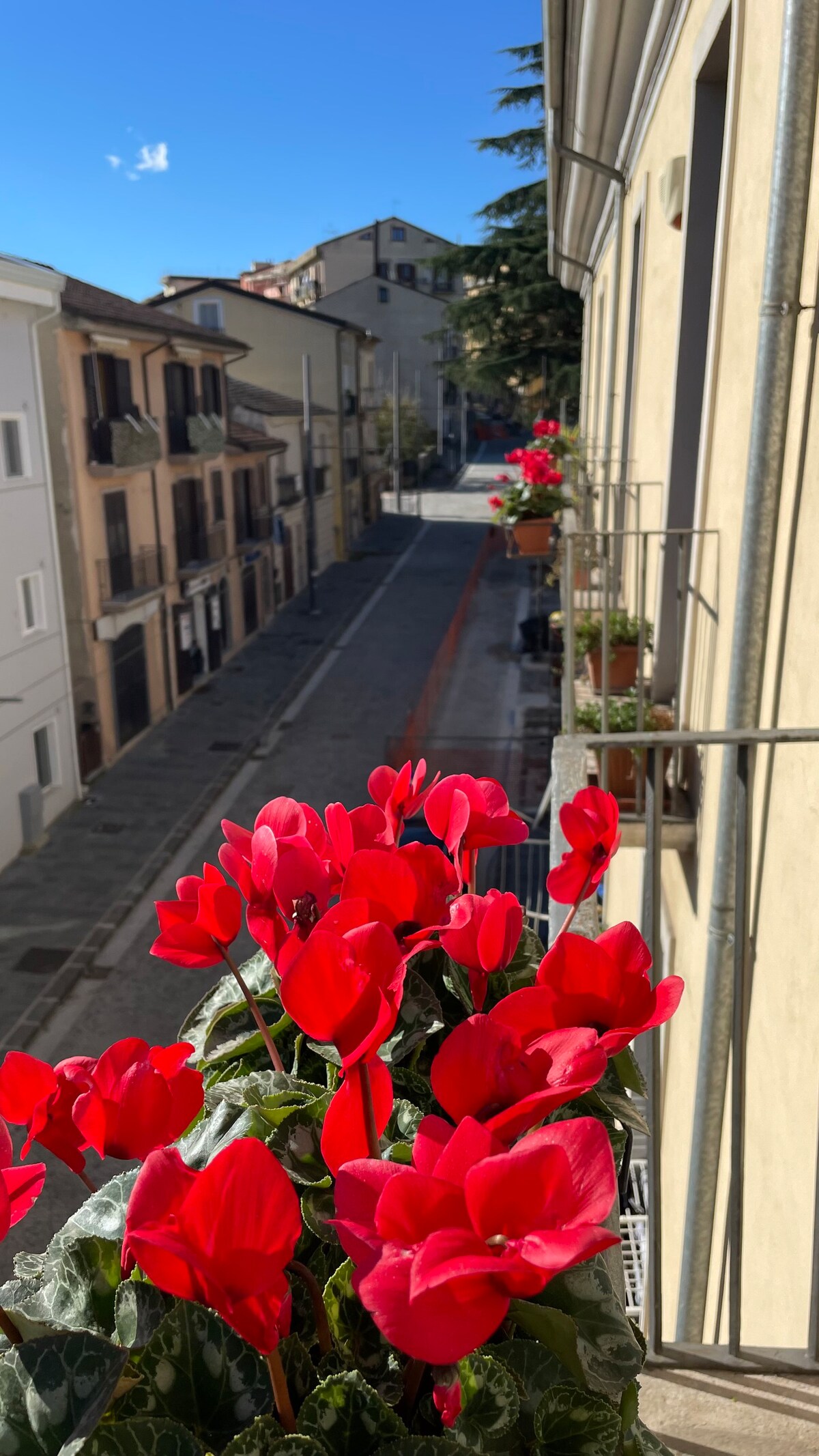 Palazzo Plantulli quadrupla