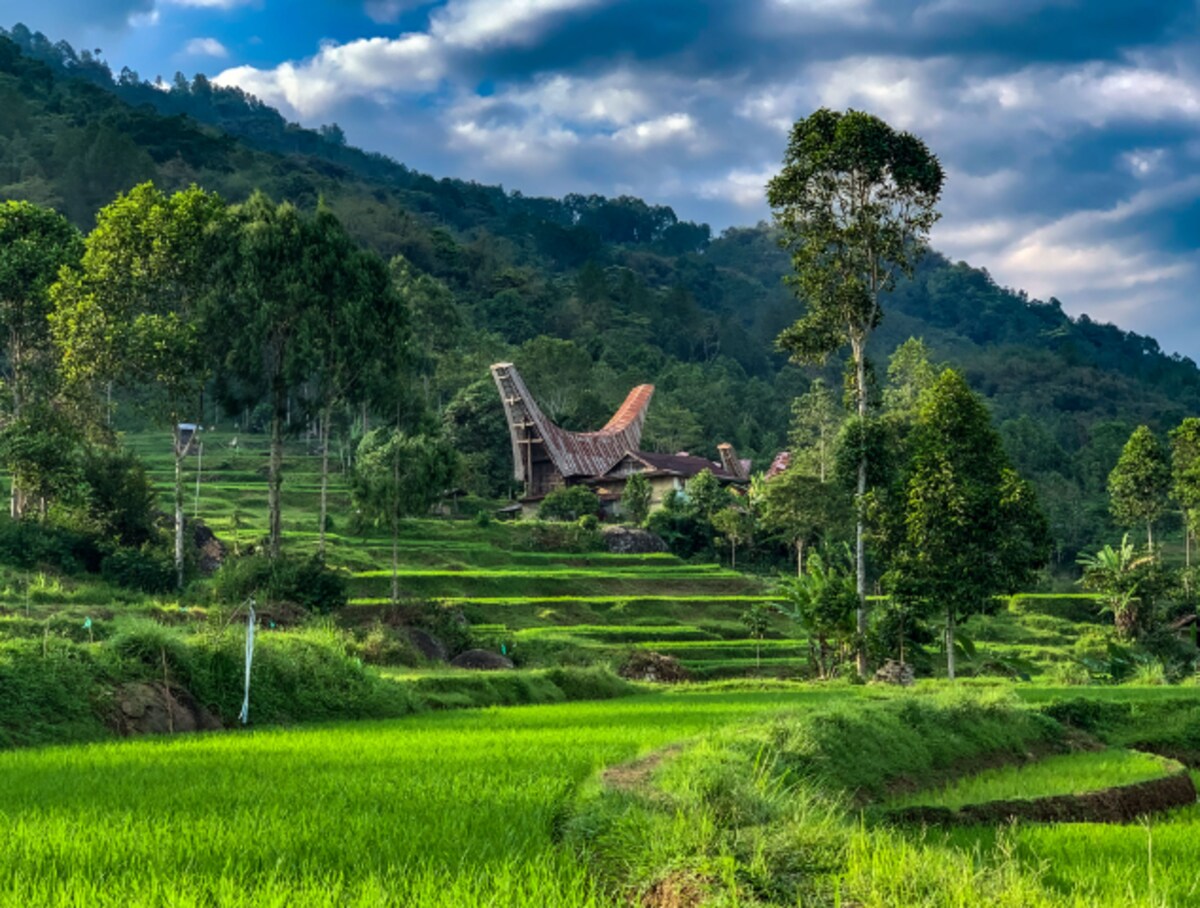 Sharing Room Heart Ricefield W/ Best Mountain View