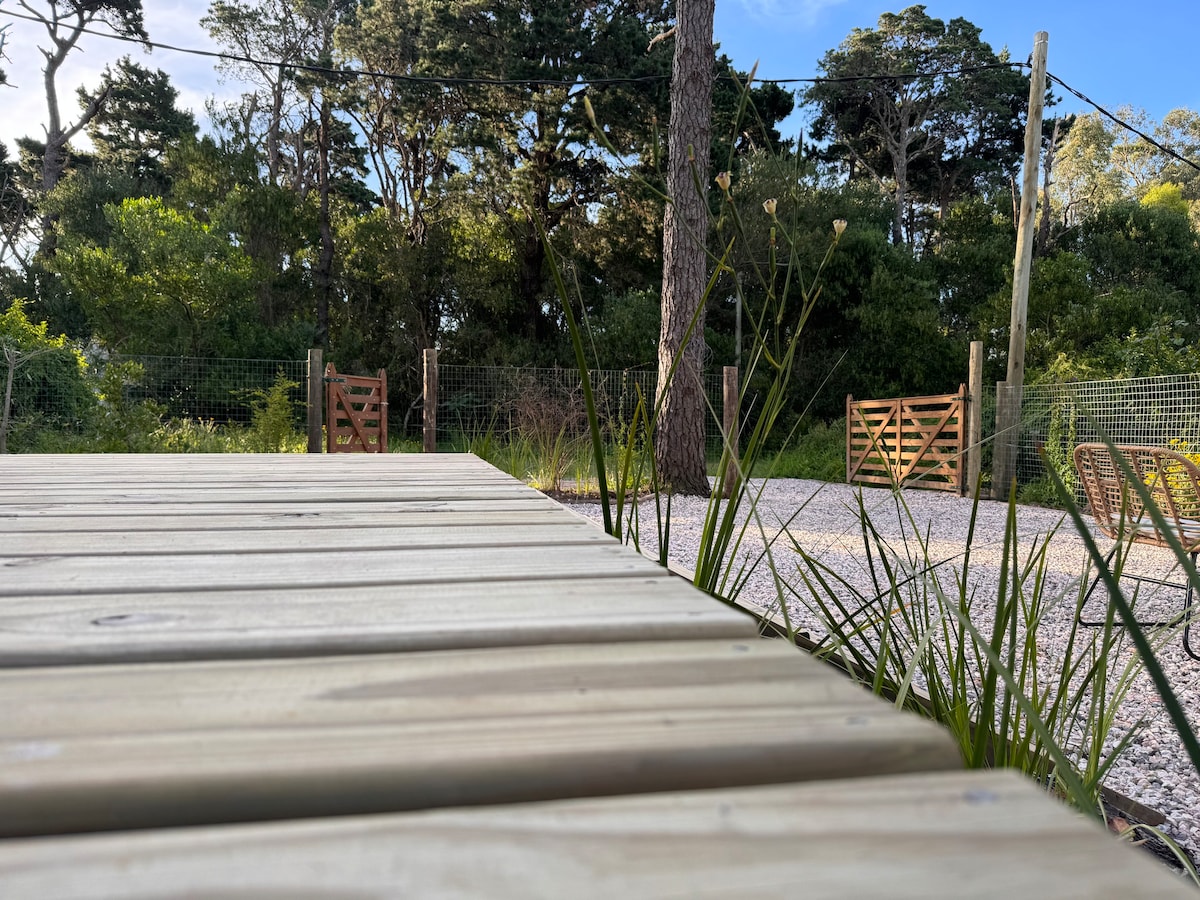 Nandina, en el bosque y playa