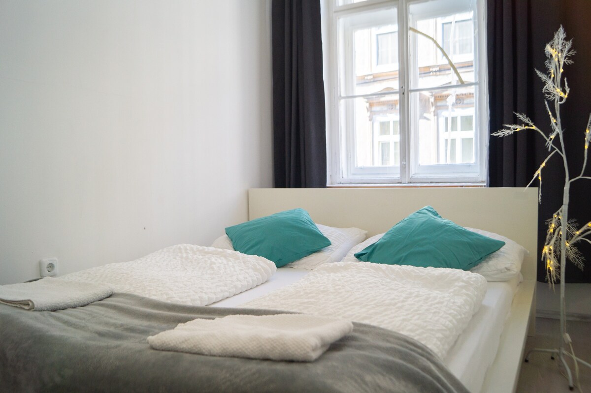 Central budget 2BR Apt. - Near Schloss Belvedere