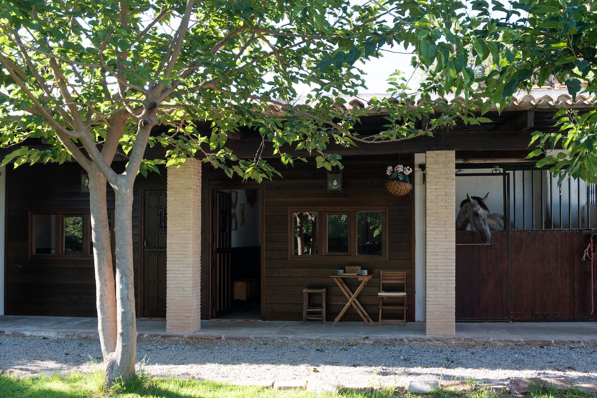 Encantadora casa-box horse friendly  (1)